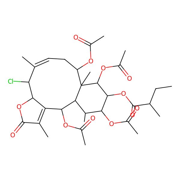 2D Structure of [(1S,2S,7R,8S,9Z,12S,13S,14R,15S,16S,17R)-2,12,14,16-tetraacetyloxy-8-chloro-4,9,13,17-tetramethyl-5-oxo-6-oxatricyclo[11.4.0.03,7]heptadeca-3,9-dien-15-yl] (2R)-2-methylbutanoate