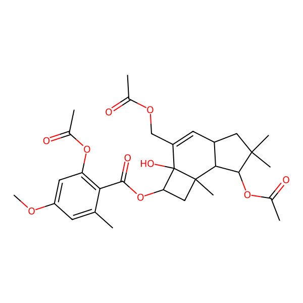2D Structure of [7-Acetyloxy-3-(acetyloxymethyl)-2a-hydroxy-6,6,7b-trimethyl-1,2,4a,5,7,7a-hexahydrocyclobuta[e]inden-2-yl] 2-acetyloxy-4-methoxy-6-methylbenzoate