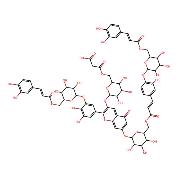 2D Structure of 3-[[(2R,3S,4S,5R,6S)-6-[2-[3-[(2S,3R,4S,5S,6R)-6-[[(E)-3-(3,4-dihydroxyphenyl)prop-2-enoyl]oxymethyl]-3,4,5-trihydroxyoxan-2-yl]oxy-4,5-dihydroxyphenyl]-7-[(2S,3R,4S,5S,6R)-6-[[(E)-3-[4-[(2S,3R,4S,5S,6R)-6-[[(E)-3-(3,4-dihydroxyphenyl)prop-2-enoyl]oxymethyl]-3,4,5-trihydroxyoxan-2-yl]oxy-3-hydroxyphenyl]prop-2-enoyl]oxymethyl]-3,4,5-trihydroxyoxan-2-yl]oxy-5-oxochromen-3-yl]oxy-3,4,5-trihydroxyoxan-2-yl]methoxy]-3-oxopropanoic acid