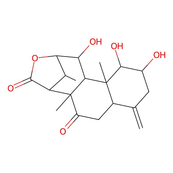 2D Structure of (1R,2S,5R,8R,9R,10R,11S,12S,13S,16S)-8,9,12-trihydroxy-2,10,16-trimethyl-6-methylidene-14-oxatetracyclo[11.2.1.02,11.05,10]hexadecane-3,15-dione