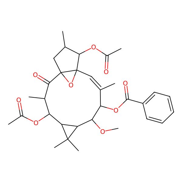 2D Structure of [(1R,3S,4S,5R,7S,8R,9R,10E,12S,13S,14S)-4,13-diacetyloxy-8-methoxy-3,6,6,10,14-pentamethyl-2-oxo-16-oxatetracyclo[10.3.1.01,12.05,7]hexadec-10-en-9-yl] benzoate