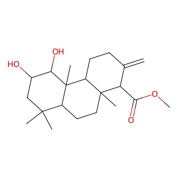2D Structure of Methyl 5,6-dihydroxy-4b,8,8,10a-tetramethyl-2-methylidene-1,3,4,4a,5,6,7,8a,9,10-decahydrophenanthrene-1-carboxylate