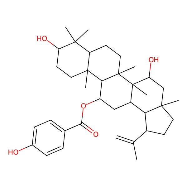 2D Structure of [(1R,3aR,5R,5aR,5bR,7aR,9S,11aS,11bR,12R,13aR,13bS)-5,9-dihydroxy-3a,5a,5b,8,8,11a-hexamethyl-1-prop-1-en-2-yl-1,2,3,4,5,6,7,7a,9,10,11,11b,12,13,13a,13b-hexadecahydrocyclopenta[a]chrysen-12-yl] 4-hydroxybenzoate