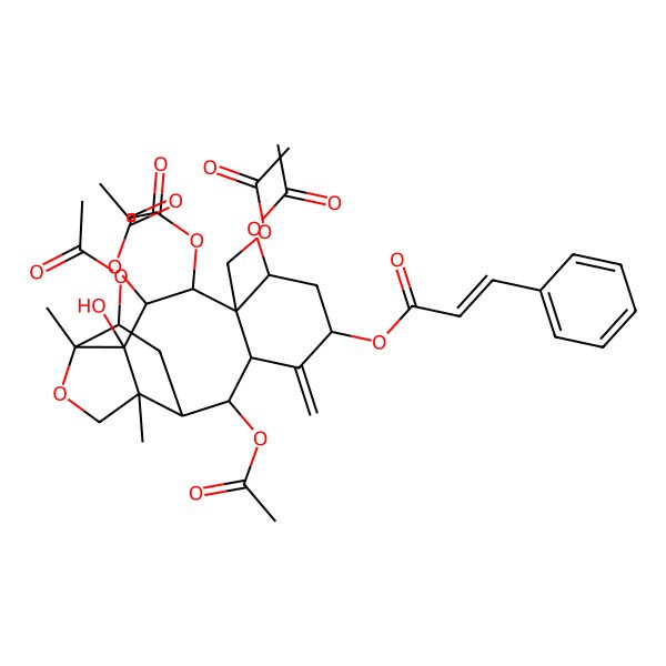 2D Structure of [(1R,2R,3S,4R,5R,6S,8S,10R,11R,12R,15R)-3,4,6,11,14-pentaacetyloxy-5-(acetyloxymethyl)-2-hydroxy-1,15-dimethyl-9-methylidene-16-oxatetracyclo[10.5.0.02,15.05,10]heptadecan-8-yl] (E)-3-phenylprop-2-enoate