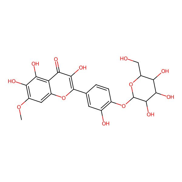 2D Structure of 3,5,6-Trihydroxy-2-[3-hydroxy-4-[3,4,5-trihydroxy-6-(hydroxymethyl)oxan-2-yl]oxyphenyl]-7-methoxychromen-4-one