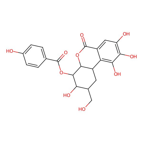 2D Structure of [(2S,3S,4R,4aR,10bR)-3,8,9,10-tetrahydroxy-2-(hydroxymethyl)-6-oxo-1,2,3,4,4a,10b-hexahydrobenzo[c]chromen-4-yl] 4-hydroxybenzoate
