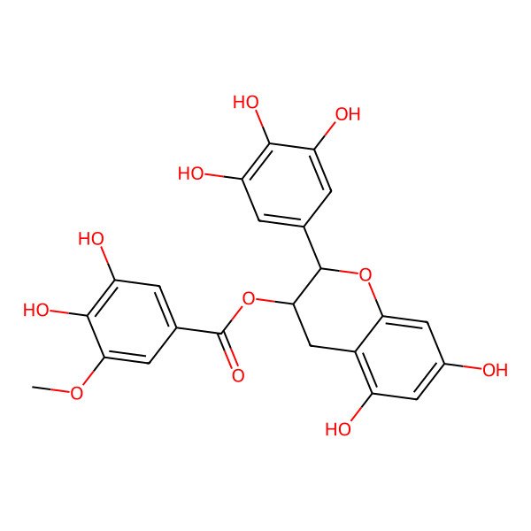 2D Structure of [5,7-dihydroxy-2-(3,4,5-trihydroxyphenyl)-3,4-dihydro-2H-chromen-3-yl] 3,4-dihydroxy-5-methoxybenzoate