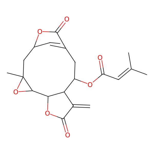2D Structure of Elephantin