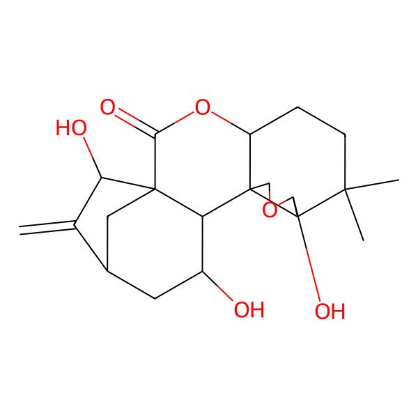2D Structure of Enmein, 1-deoxo-13-deoxy-1,5-dihydroxy-, (1alpha,5alpha)- 2D Structure of Enmein, 1-deoxo-13-deoxy-1,5-dihydroxy-, (1alpha,5alpha)-