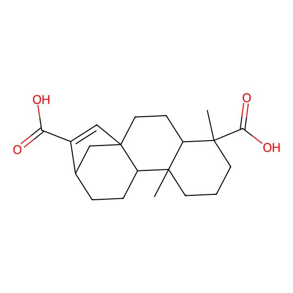 2D Structure of ent-15-Kaurene-17,19-dioic acid