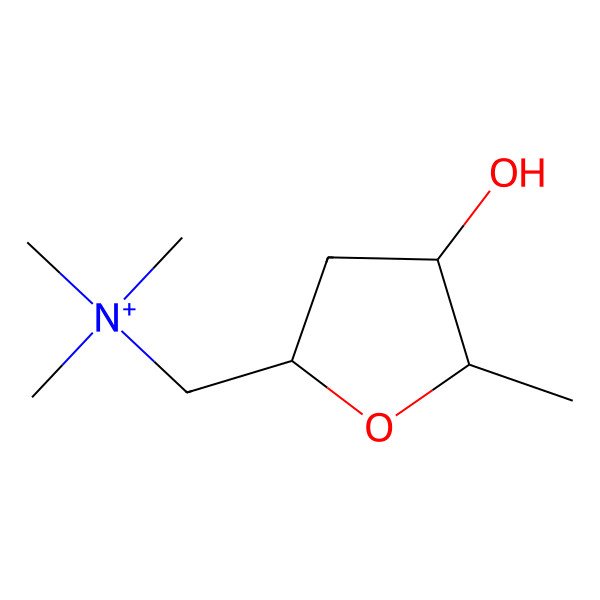 2D Structure of Epimuscarine