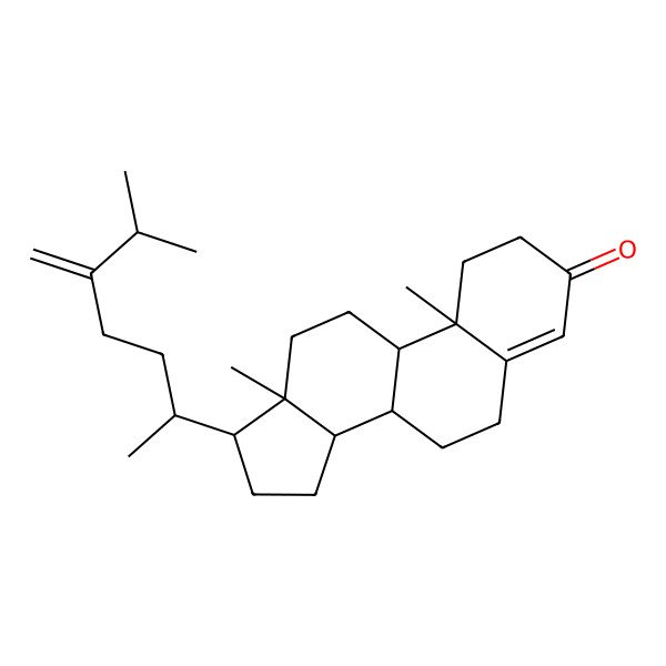 2D Structure of Ergosta-4,24(28)-dien-3-one