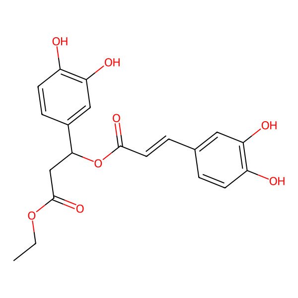2D Structure of ethyl (3R)-3-(3,4-dihydroxyphenyl)-3-[(E)-3-(3,4-dihydroxyphenyl)prop-2-enoyl]oxypropanoate