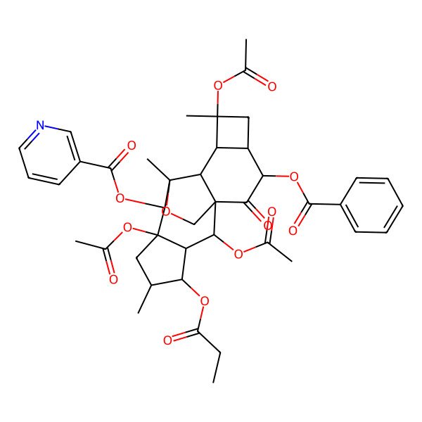 2D Structure of Euphorbialoid H