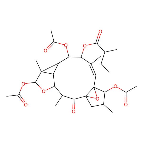 2D Structure of [(1R,3R,4R,6S,7R,8R,9S,10S,11R,12Z,14S,15S,16S)-6,10,15-triacetyloxy-3,7,12,16-tetramethyl-2-oxo-5,18-dioxapentacyclo[12.3.1.01,14.04,8.07,9]octadec-12-en-11-yl] (2S)-2-methylbutanoate