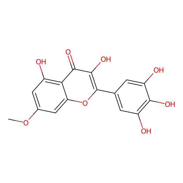 2D Structure of Europetin 2D Structure of Europetin