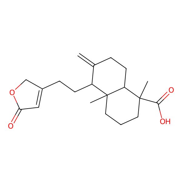2D Structure of (1R,4aS,5R,8aS)-1,4a-dimethyl-6-methylidene-5-[2-(5-oxo-2H-furan-3-yl)ethyl]-3,4,5,7,8,8a-hexahydro-2H-naphthalene-1-carboxylic acid