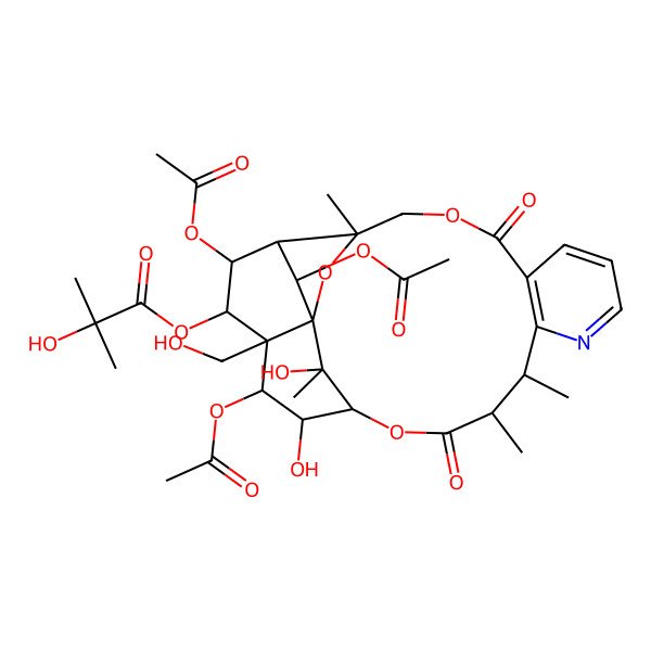 2D Structure of [(1R,3S,13R,14R,17R,18S,19S,20R,21R,22R,23S,24S,25R)-19,22,24-triacetyloxy-18,25-dihydroxy-20-(hydroxymethyl)-3,13,14,25-tetramethyl-6,15-dioxo-2,5,16-trioxa-11-azapentacyclo[15.7.1.01,20.03,23.07,12]pentacosa-7(12),8,10-trien-21-yl] 2-hydroxy-2-methylpropanoate
