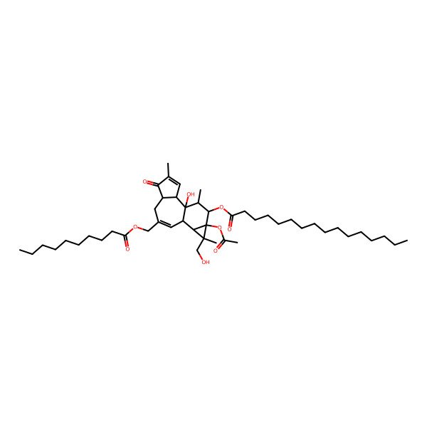 2D Structure of [13-Acetyloxy-8-(decanoyloxymethyl)-1-hydroxy-12-(hydroxymethyl)-4,12,15-trimethyl-5-oxo-14-tetracyclo[8.5.0.02,6.011,13]pentadeca-3,8-dienyl] hexadecanoate