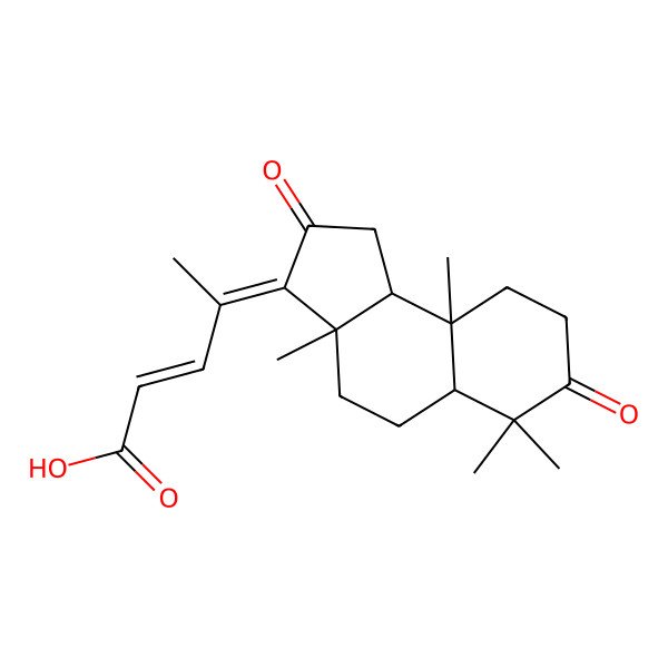 2D Structure of (E,4E)-4-[(3aS,5aR,9aR,9bS)-3a,6,6,9a-tetramethyl-2,7-dioxo-4,5,5a,8,9,9b-hexahydro-1H-cyclopenta[a]naphthalen-3-ylidene]pent-2-enoic acid