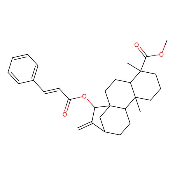 2D Structure of methyl (1R,4S,5R,9S,10S,13R,15S)-5,9-dimethyl-14-methylidene-15-[(E)-3-phenylprop-2-enoyl]oxytetracyclo[11.2.1.01,10.04,9]hexadecane-5-carboxylate