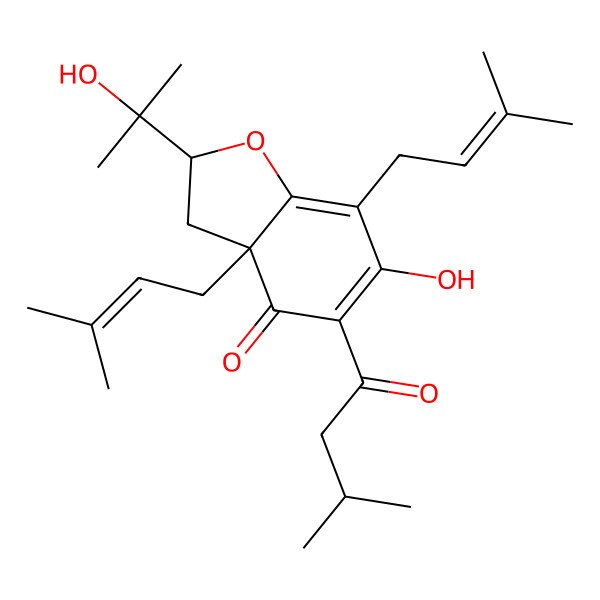 2D Structure of (2S,3aS)-6-hydroxy-2-(2-hydroxypropan-2-yl)-5-(3-methylbutanoyl)-3a,7-bis(3-methylbut-2-enyl)-2,3-dihydro-1-benzofuran-4-one 2D Structure of (2S,3aS)-6-hydroxy-2-(2-hydroxypropan-2-yl)-5-(3-methylbutanoyl)-3a,7-bis(3-methylbut-2-enyl)-2,3-dihydro-1-benzofuran-4-one