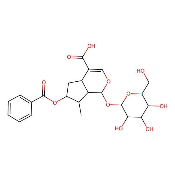 2D Structure of (1S,4aS,6S,7R,7aS)-6-benzoyloxy-7-methyl-1-[(2S,3R,4S,5S,6R)-3,4,5-trihydroxy-6-(hydroxymethyl)oxan-2-yl]oxy-1,4a,5,6,7,7a-hexahydrocyclopenta[c]pyran-4-carboxylic acid