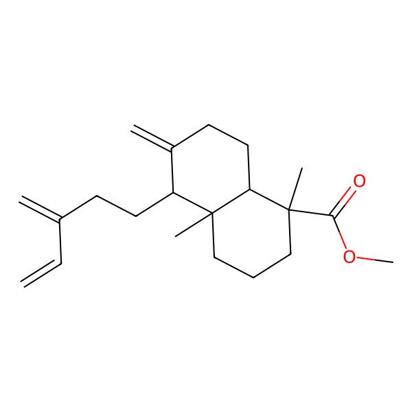 2D Structure of methyl (1R,4aR,5R,8aR)-1,4a-dimethyl-6-methylidene-5-(3-methylidenepent-4-enyl)-3,4,5,7,8,8a-hexahydro-2H-naphthalene-1-carboxylate 2D Structure of methyl (1R,4aR,5R,8aR)-1,4a-dimethyl-6-methylidene-5-(3-methylidenepent-4-enyl)-3,4,5,7,8,8a-hexahydro-2H-naphthalene-1-carboxylate