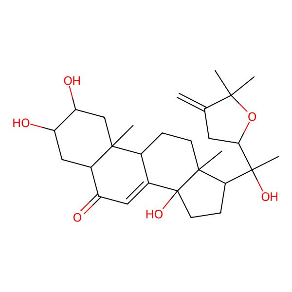2D Structure of (2S,3R,5R,9R,10R,13R,14S,17S)-17-[(1R)-1-[(2S)-5,5-dimethyl-4-methylideneoxolan-2-yl]-1-hydroxyethyl]-2,3,14-trihydroxy-10,13-dimethyl-2,3,4,5,9,11,12,15,16,17-decahydro-1H-cyclopenta[a]phenanthren-6-one