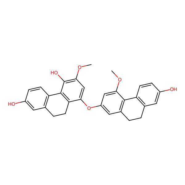 2D Structure of 8-[(7-Hydroxy-4-methoxy-9,10-dihydrophenanthren-2-yl)oxy]-6-methoxy-9,10-dihydrophenanthrene-2,5-diol