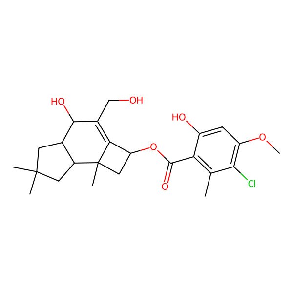 2D Structure of [(2R,4S,4aR,7aS,7bR)-4-hydroxy-3-(hydroxymethyl)-6,6,7b-trimethyl-2,4,4a,5,7,7a-hexahydro-1H-cyclobuta[e]inden-2-yl] 3-chloro-6-hydroxy-4-methoxy-2-methylbenzoate