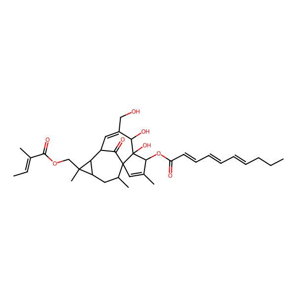 2D Structure of [5,6-Dihydroxy-7-(hydroxymethyl)-3,11,14-trimethyl-11-(2-methylbut-2-enoyloxymethyl)-15-oxo-4-tetracyclo[7.5.1.01,5.010,12]pentadeca-2,7-dienyl] deca-2,4,6-trienoate
