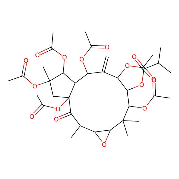 2D Structure of [(1R,3R,4S,6S,8S,9S,10S,12R,13S,14R,15R)-1,8,10,12,14,15-hexaacetyloxy-3,7,7,15-tetramethyl-11-methylidene-2-oxo-5-oxatricyclo[11.3.0.04,6]hexadecan-9-yl] 2-methylpropanoate