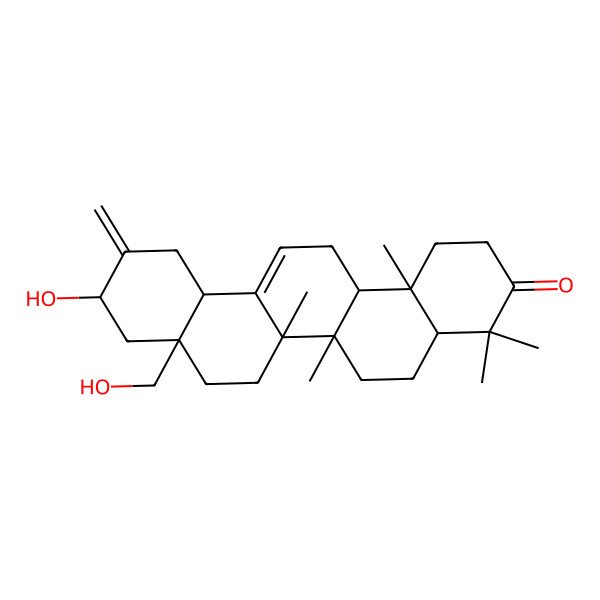2D Structure of (4aR,6aR,6bS,8aR,10S,12aS,14aR,14bR)-10-hydroxy-8a-(hydroxymethyl)-4,4,6a,6b,14b-pentamethyl-11-methylidene-2,4a,5,6,7,8,9,10,12,12a,14,14a-dodecahydro-1H-picen-3-one 2D Structure of (4aR,6aR,6bS,8aR,10S,12aS,14aR,14bR)-10-hydroxy-8a-(hydroxymethyl)-4,4,6a,6b,14b-pentamethyl-11-methylidene-2,4a,5,6,7,8,9,10,12,12a,14,14a-dodecahydro-1H-picen-3-one