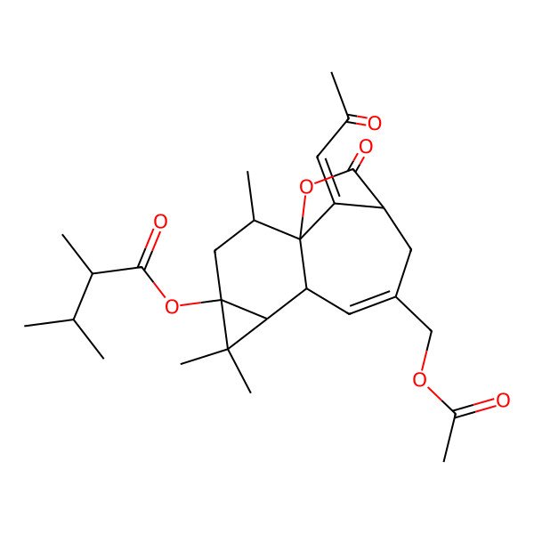 2D Structure of [9-(Acetyloxymethyl)-2,5,5-trimethyl-12-oxo-14-(2-oxopropylidene)-13-oxatetracyclo[9.2.1.01,7.04,6]tetradec-8-en-4-yl] 2,3-dimethylbutanoate