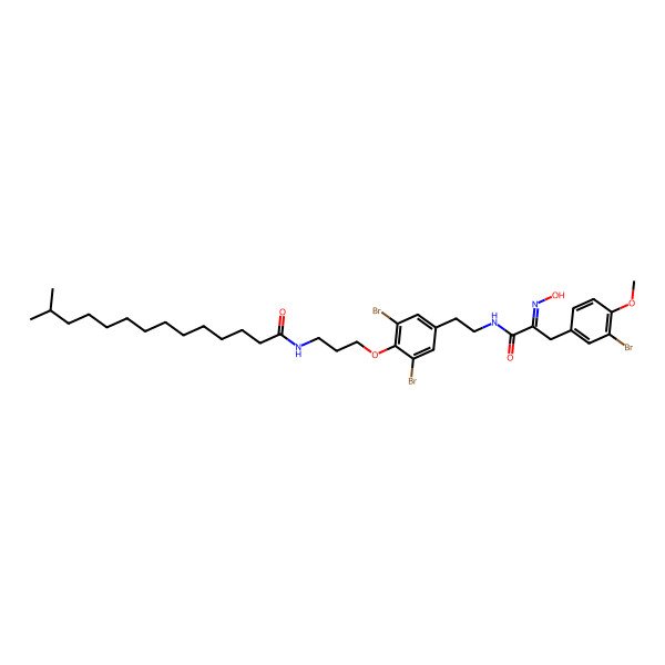 2D Structure of N-[3-[2,6-dibromo-4-[2-[[(2Z)-3-(3-bromo-4-methoxyphenyl)-2-hydroxyiminopropanoyl]amino]ethyl]phenoxy]propyl]-13-methyltetradecanamide