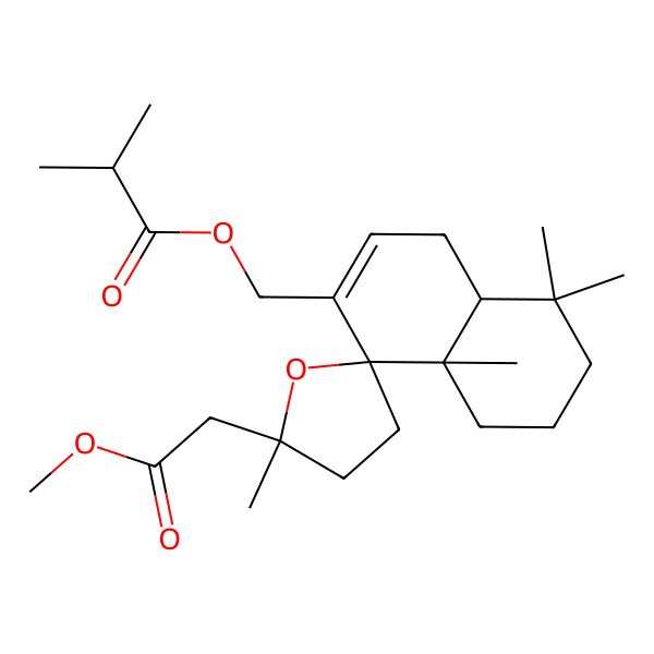2D Structure of [(1S,4aS,5'R,8aS)-5'-(2-methoxy-2-oxoethyl)-5,5,5',8a-tetramethylspiro[4a,6,7,8-tetrahydro-4H-naphthalene-1,2'-oxolane]-2-yl]methyl 2-methylpropanoate