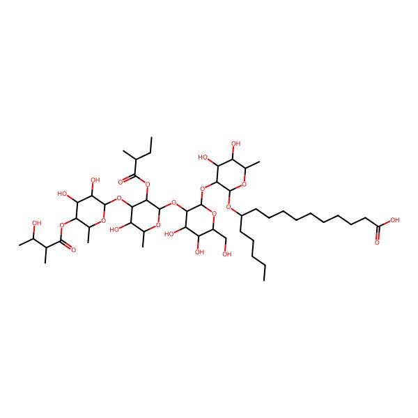 2D Structure of (11R)-11-[(2R,3R,4S,5S,6R)-3-[(2S,3R,4S,5S,6R)-3-[(2S,3R,4R,5S,6S)-4-[(2S,3R,4R,5S,6R)-3,4-dihydroxy-5-[(2R,3S)-3-hydroxy-2-methylbutanoyl]oxy-6-methyloxan-2-yl]oxy-5-hydroxy-6-methyl-3-[(2R)-2-methylbutanoyl]oxyoxan-2-yl]oxy-4,5-dihydroxy-6-(hydroxymethyl)oxan-2-yl]oxy-4,5-dihydroxy-6-methyloxan-2-yl]oxyhexadecanoic acid