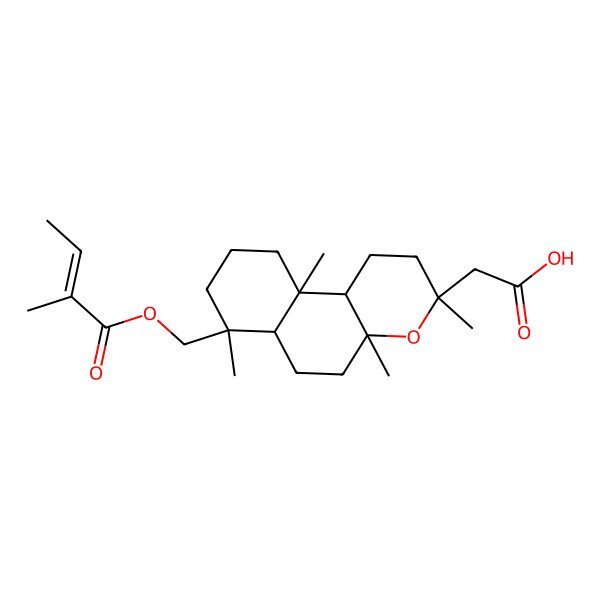 2D Structure of 2-[3,4a,7,10a-tetramethyl-7-(2-methylbut-2-enoyloxymethyl)-2,5,6,6a,8,9,10,10b-octahydro-1H-benzo[f]chromen-3-yl]acetic acid