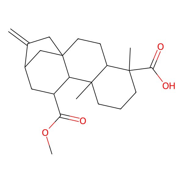 2D Structure of (1S,4S,5R,9R,10R,11S,13R)-11-methoxycarbonyl-5,9-dimethyl-14-methylidenetetracyclo[11.2.1.01,10.04,9]hexadecane-5-carboxylic acid