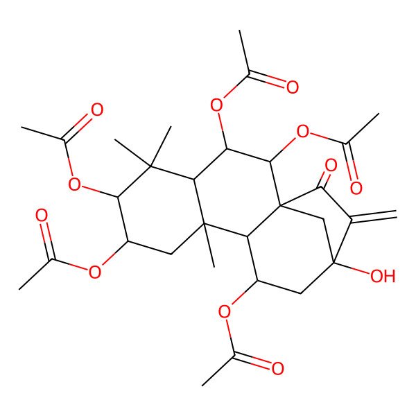 2D Structure of [(1R,2R,3R,4S,6R,7S,9S,10S,11S,13R)-2,3,6,11-tetraacetyloxy-13-hydroxy-5,5,9-trimethyl-14-methylidene-15-oxo-7-tetracyclo[11.2.1.01,10.04,9]hexadecanyl] acetate