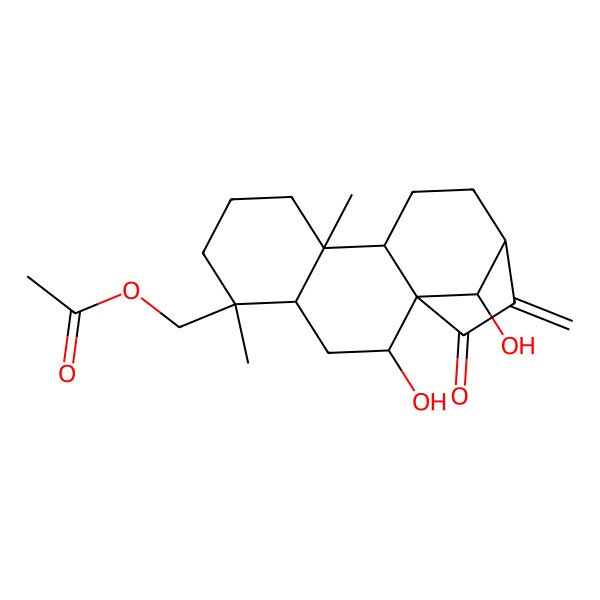 2D Structure of [(1R,2R,4S,5S,9R,10S,13S,16R)-2,16-dihydroxy-5,9-dimethyl-14-methylidene-15-oxo-5-tetracyclo[11.2.1.01,10.04,9]hexadecanyl]methyl acetate
