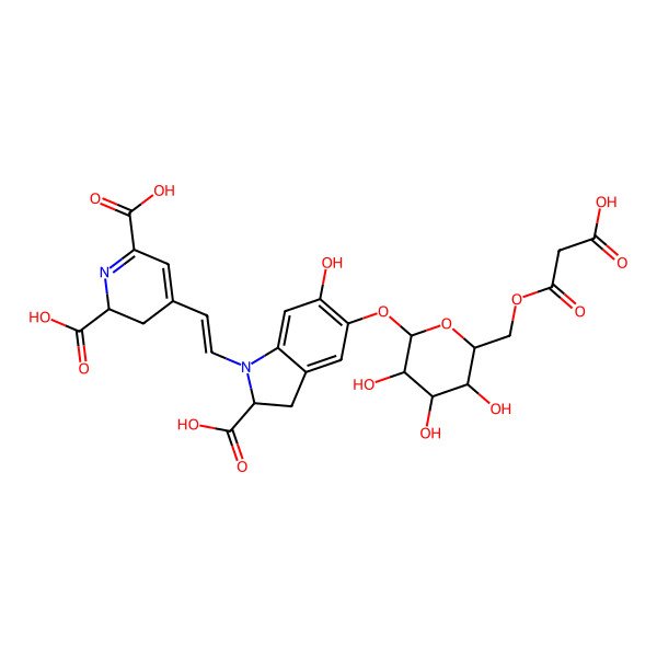 2D Structure of (2S)-4-[(E)-2-[(2S)-2-carboxy-5-[(2S,3R,4S,5S,6R)-6-[(2-carboxyacetyl)oxymethyl]-3,4,5-trihydroxyoxan-2-yl]oxy-6-hydroxy-2,3-dihydroindol-1-yl]ethenyl]-2,3-dihydropyridine-2,6-dicarboxylic acid
