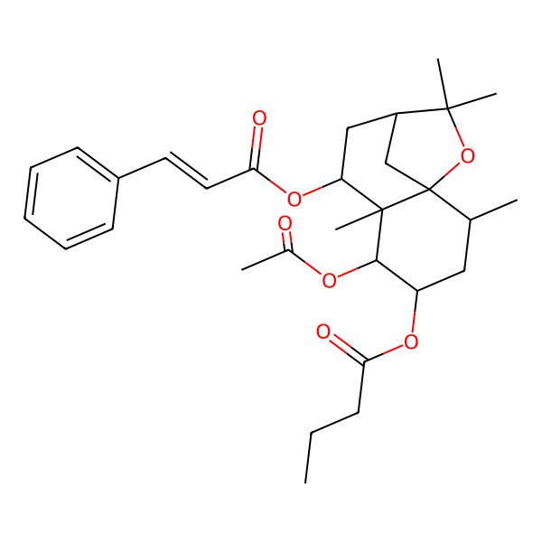 2D Structure of [(1S,2R,4S,5R,6R,7S,9R)-5-acetyloxy-2,6,10,10-tetramethyl-7-[(E)-3-phenylprop-2-enoyl]oxy-11-oxatricyclo[7.2.1.01,6]dodecan-4-yl] butanoate