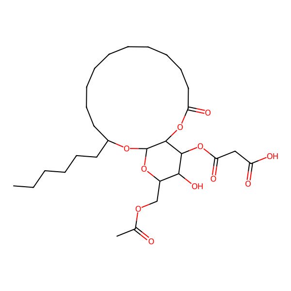 2D Structure of 3-[[18-(Acetyloxymethyl)-14-hexyl-19-hydroxy-3-oxo-2,15,17-trioxabicyclo[14.4.0]icosan-20-yl]oxy]-3-oxopropanoic acid