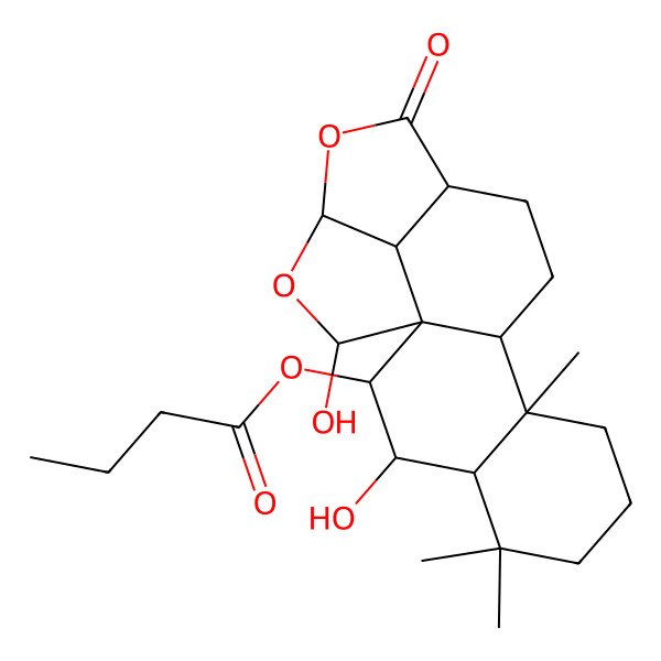 2D Structure of (3,18-Dihydroxy-5,5,9-trimethyl-14-oxo-15,17-dioxapentacyclo[11.5.1.01,10.04,9.016,19]nonadecan-2-yl) butanoate