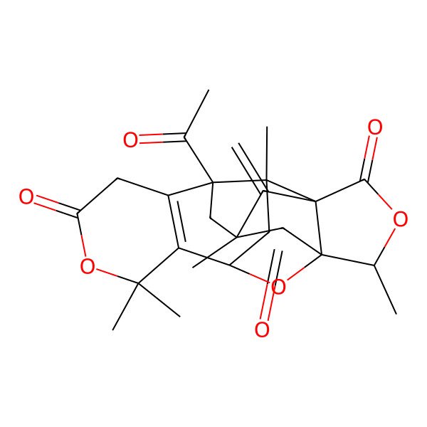 2D Structure of 5-Acetyl-3,10,10,14,18-pentamethyl-20-methylidene-9,17,19-trioxahexacyclo[10.6.1.13,15.01,15.05,14.06,11]icos-6(11)-ene-2,8,16-trione
