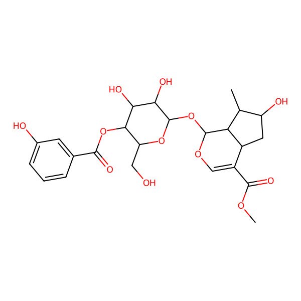 2D Structure of methyl (1S,4aS,6S,7R,7aS)-1-[(2S,3R,4R,5S,6R)-3,4-dihydroxy-5-(3-hydroxybenzoyl)oxy-6-(hydroxymethyl)oxan-2-yl]oxy-6-hydroxy-7-methyl-1,4a,5,6,7,7a-hexahydrocyclopenta[c]pyran-4-carboxylate
