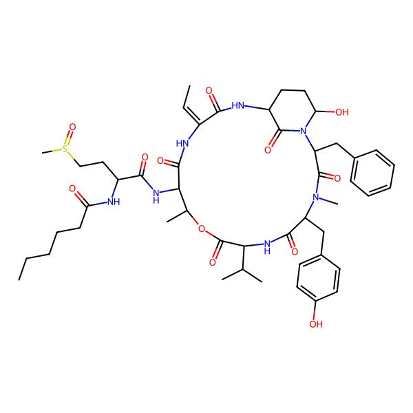 2D Structure of N-[(2S)-1-[[(2S,5S,8S,11R,12S,15Z,18S,21R)-2-benzyl-15-ethylidene-21-hydroxy-5-[(4-hydroxyphenyl)methyl]-4,11-dimethyl-3,6,9,13,16,22-hexaoxo-8-propan-2-yl-10-oxa-1,4,7,14,17-pentazabicyclo[16.3.1]docosan-12-yl]amino]-4-[(R)-methylsulfinyl]-1-oxobutan-2-yl]hexanamide