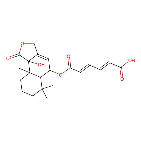 2D Structure of (2E,4E)-6-[[(5R,5aS,9aS,9bS)-9b-hydroxy-6,6,9a-trimethyl-1-oxo-3,5,5a,7,8,9-hexahydrobenzo[e][2]benzofuran-5-yl]oxy]-6-oxohexa-2,4-dienoic acid